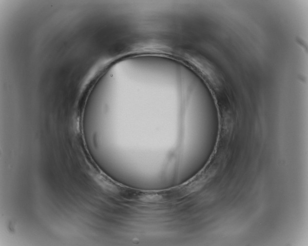 X0000096671462200802051211