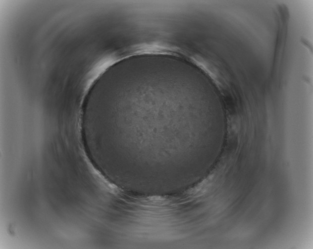 X0000096671463200802051211
