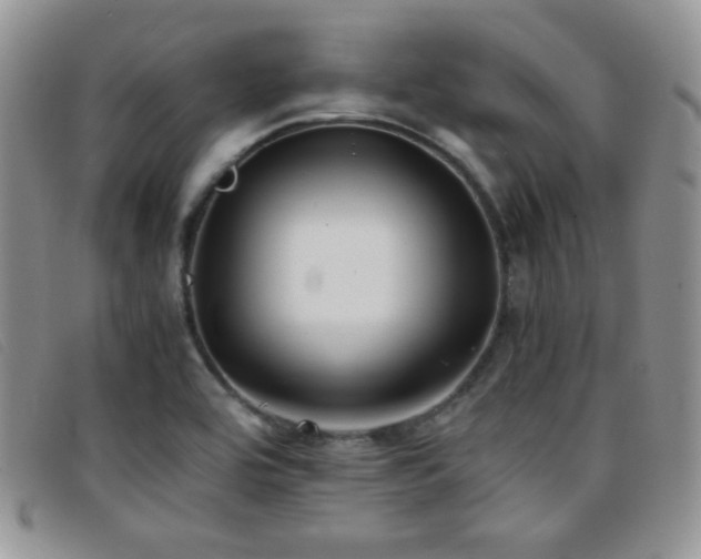 X0000096671464200802051211