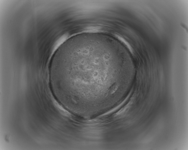 X0000096671467200802051211