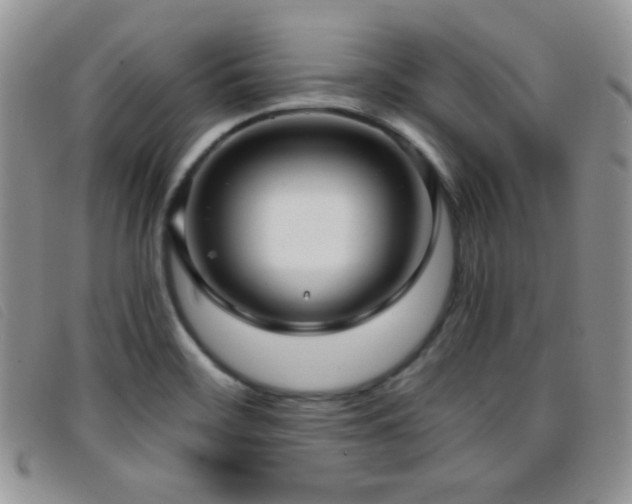 X0000096671468200802051211