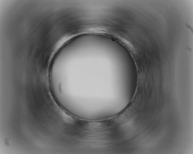 X0000096671470200802051211