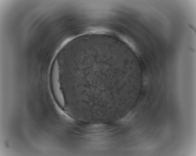 X0000096671471200802051211
