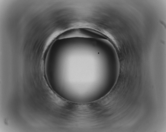 X0000096671472200802051211