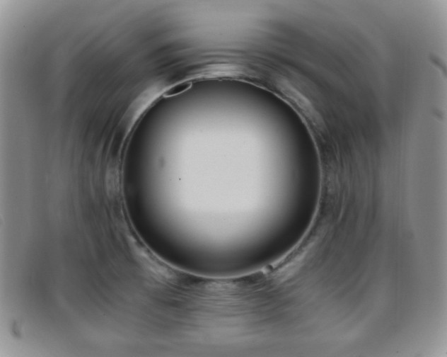 X0000096671473200802051211