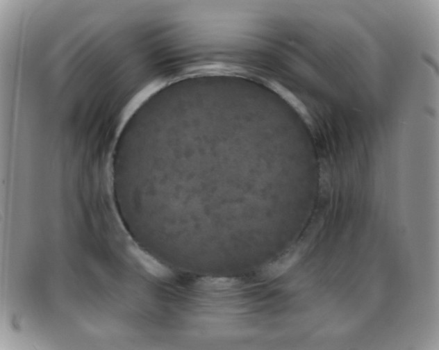 X0000096671474200802051211