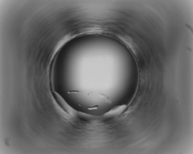 X0000096671475200802051211