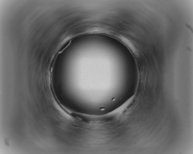 X0000096671476200802051211