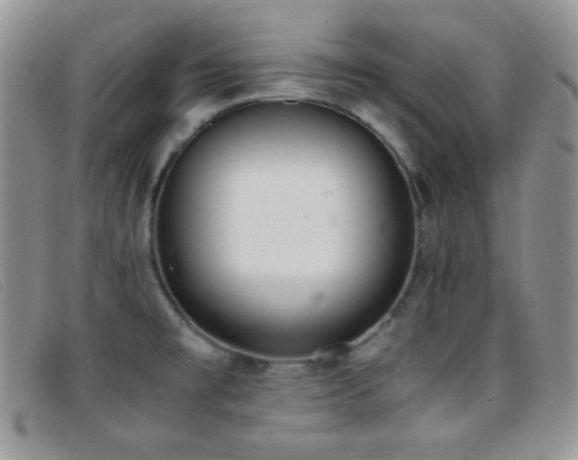 X0000096671477200802051211