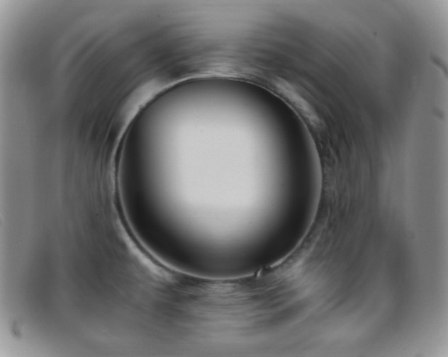 X0000096671479200802051211