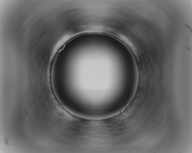 X0000096671480200802051211