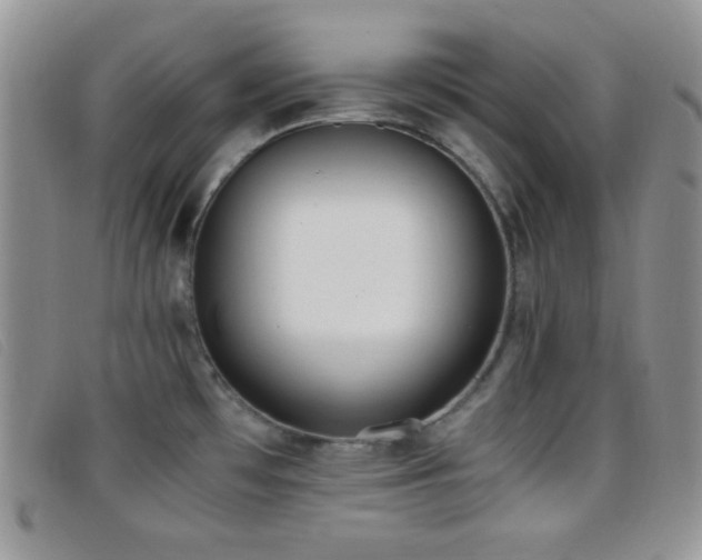 X0000096671481200802051211