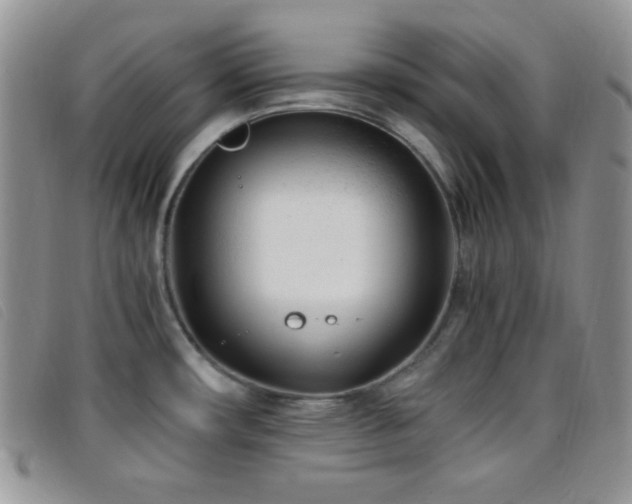 X0000096671482200802051211