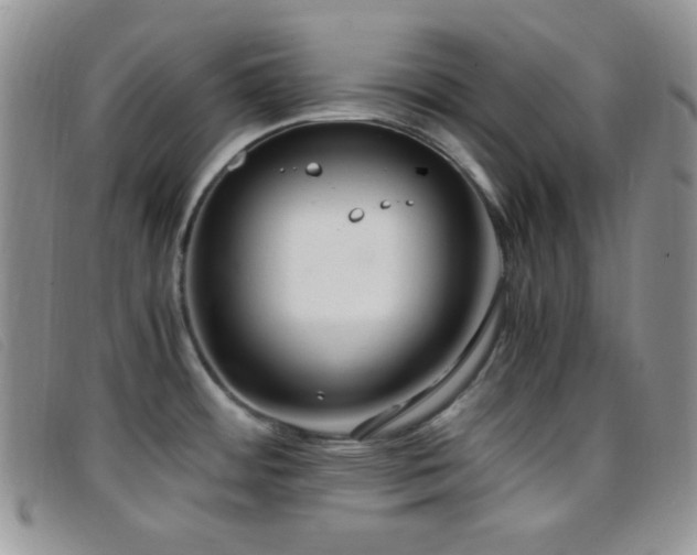 X0000096671484200802051211