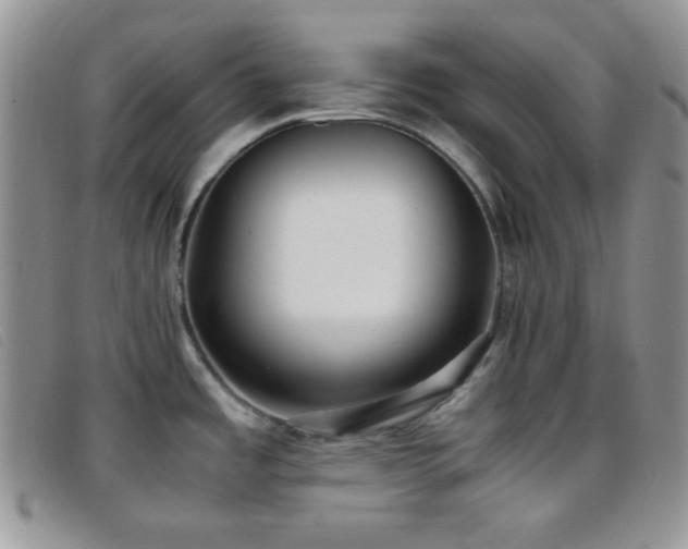 X0000096671485200802051211
