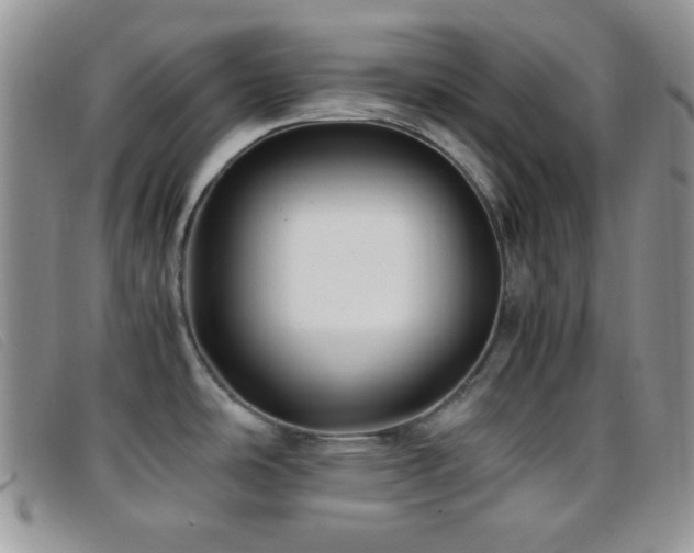 X0000096671486200802051211