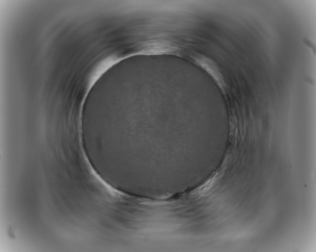 X0000096671487200802051211