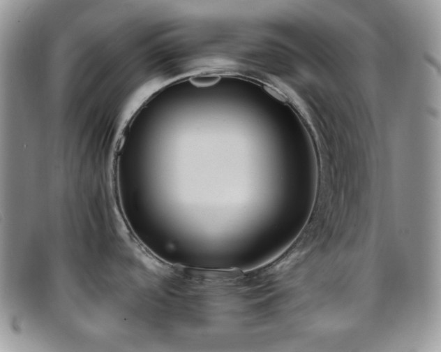 X0000096671488200802051211