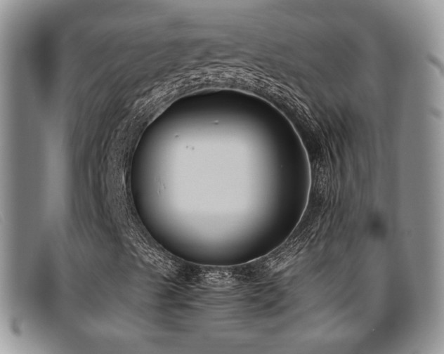X0000096671489200802051210