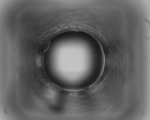 X0000096671490200802051210