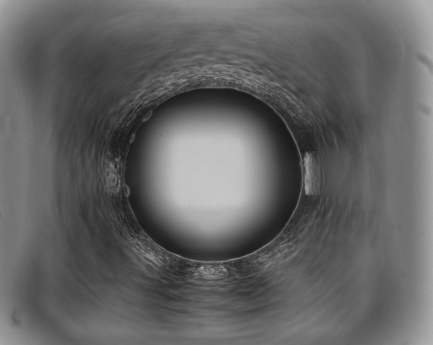 X0000096671491200802051210