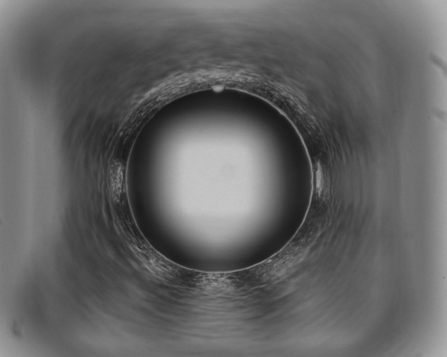 X0000096671492200802051210