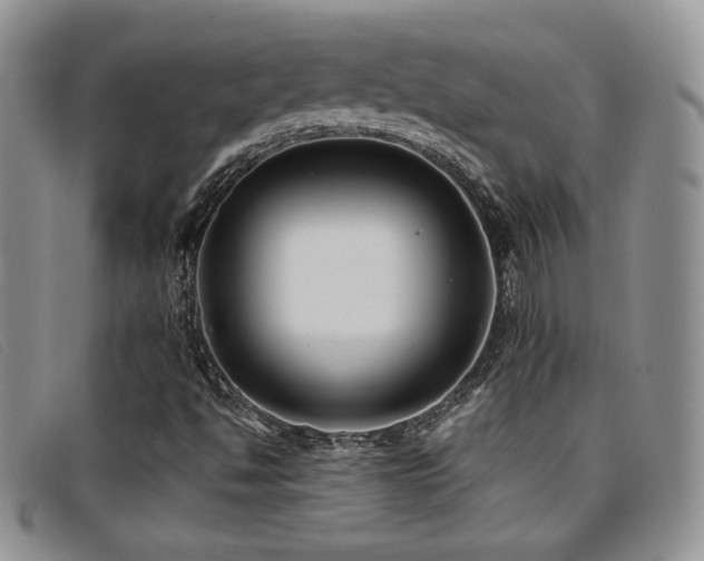 X0000096671494200802051210