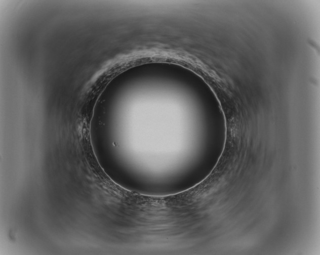 X0000096671495200802051210
