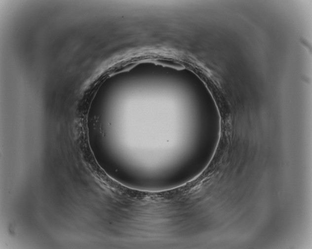 X0000096671496200802051210