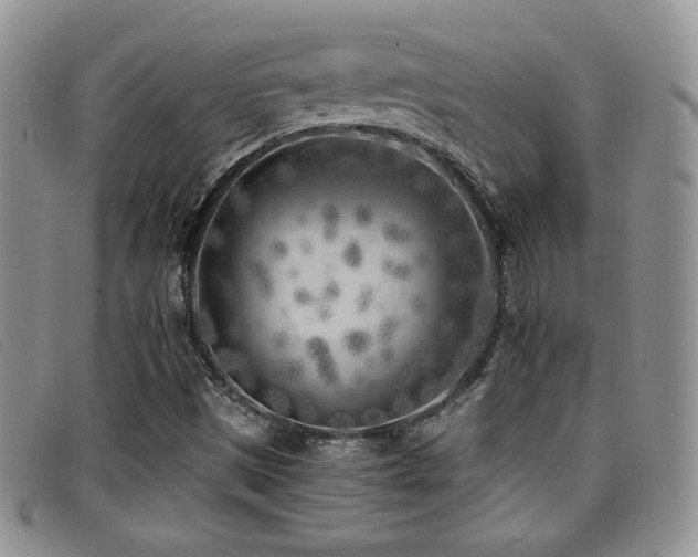 X0000096671497200802051210