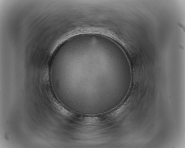 X0000096671498200802051210