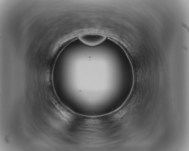 X0000096671499200802051210