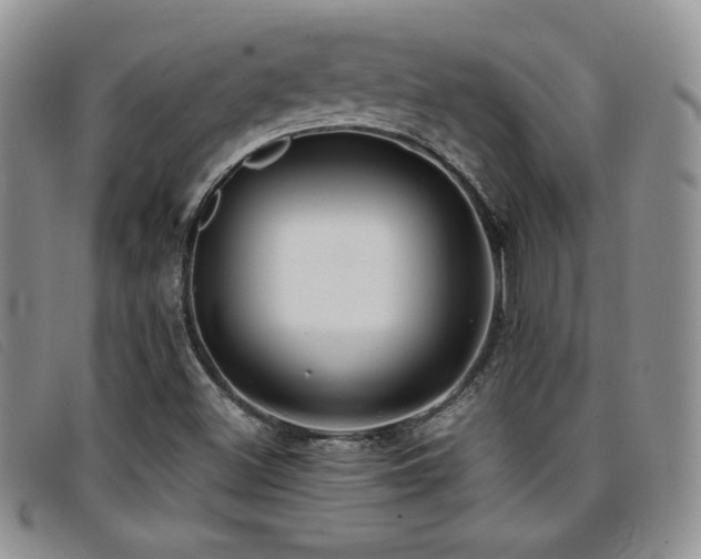 X0000096671500200802051210
