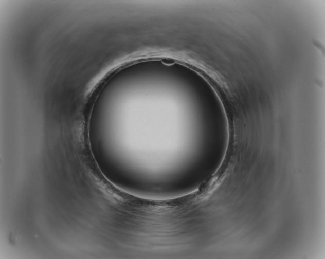 X0000096671502200802051210