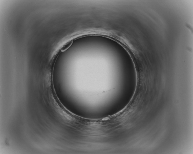 X0000096671504200802051210