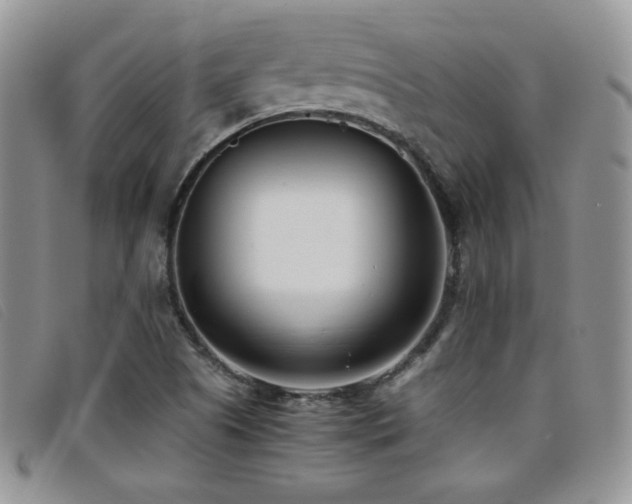 X0000096671505200802051210