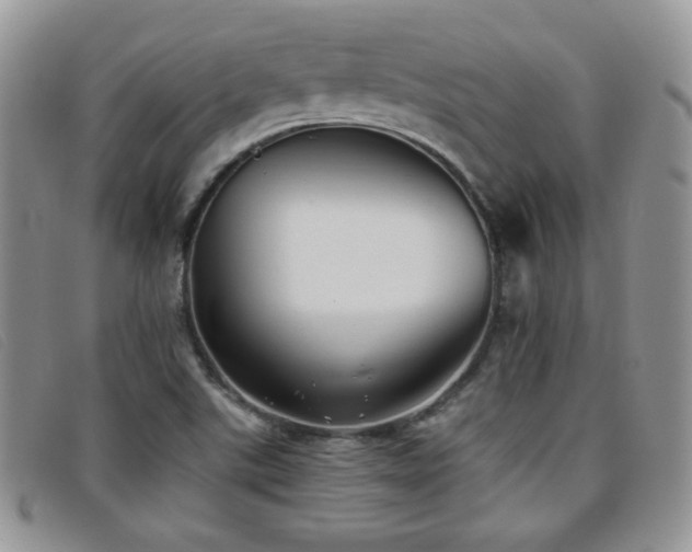 X0000096671507200802051210