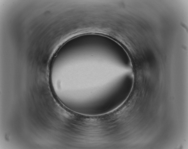 X0000096671508200802051210