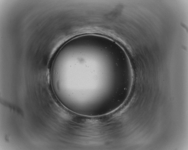 X0000096671509200802051210
