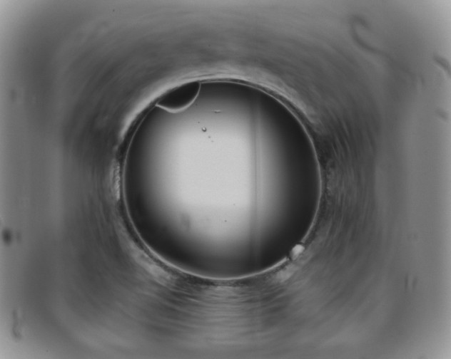 X0000096671510200802051210