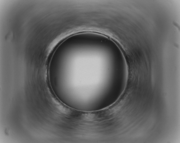 X0000096671511200802051210