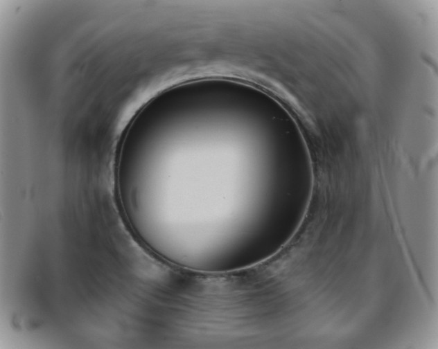 X0000096671512200802051210