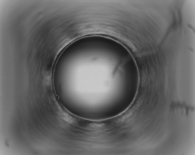 X0000096671513200802051210