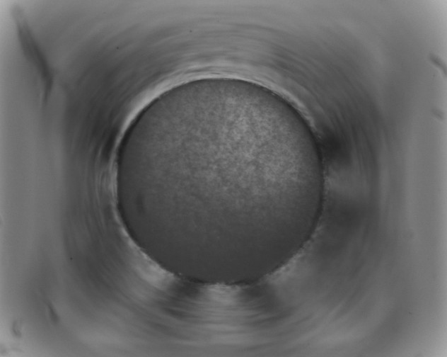 X0000096671514200802051211