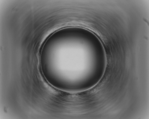 X0000096671515200802051211