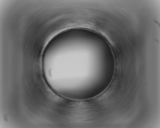 X0000096671516200802051211