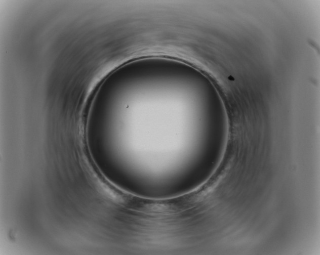 X0000096671517200802051211