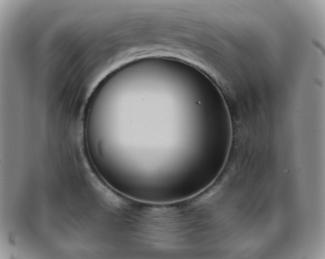 X0000096671518200802051211