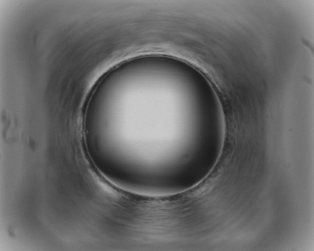 X0000096671519200802051211