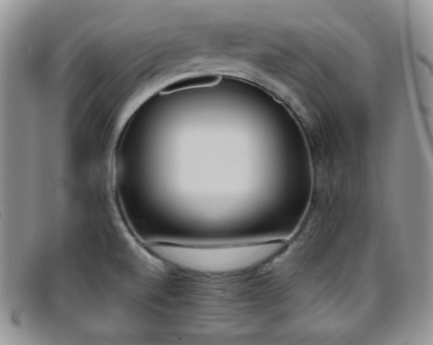 X0000096671520200802051211